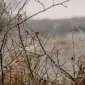 爱游戏
